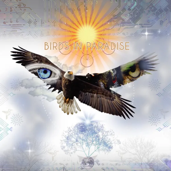 All My Love — Bird Tribe