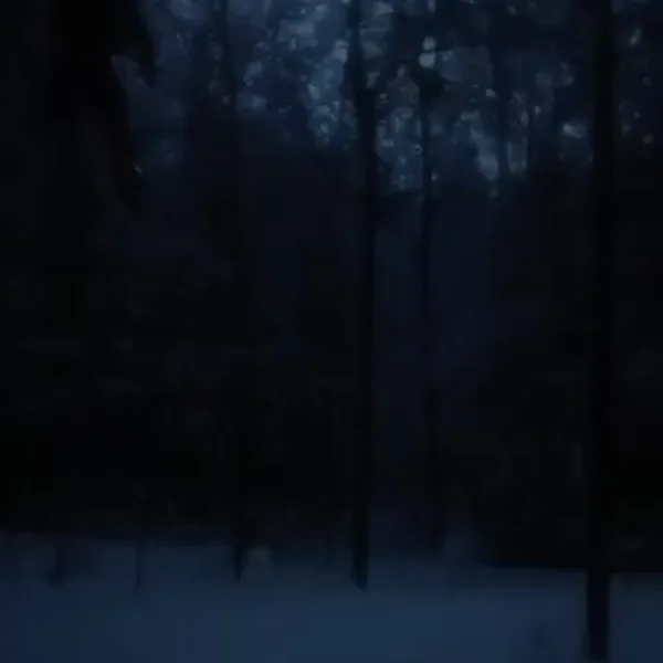 dark snowy night — daniel.mp3