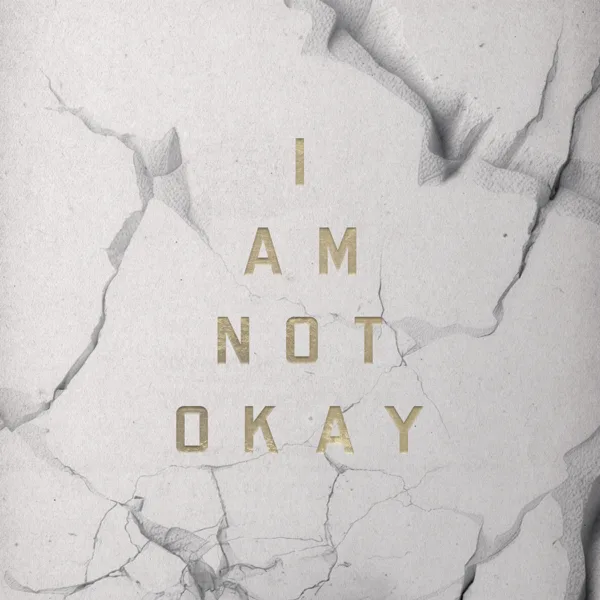 Cover art for I Am Not Okay — Jelly Roll