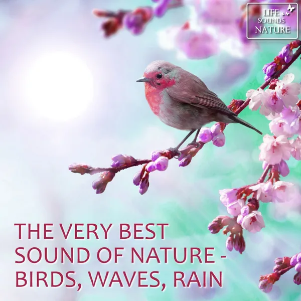 Impressing Big Ocean Waves At Sandy Beach For Meditation and Yoga — Life Sounds Nature