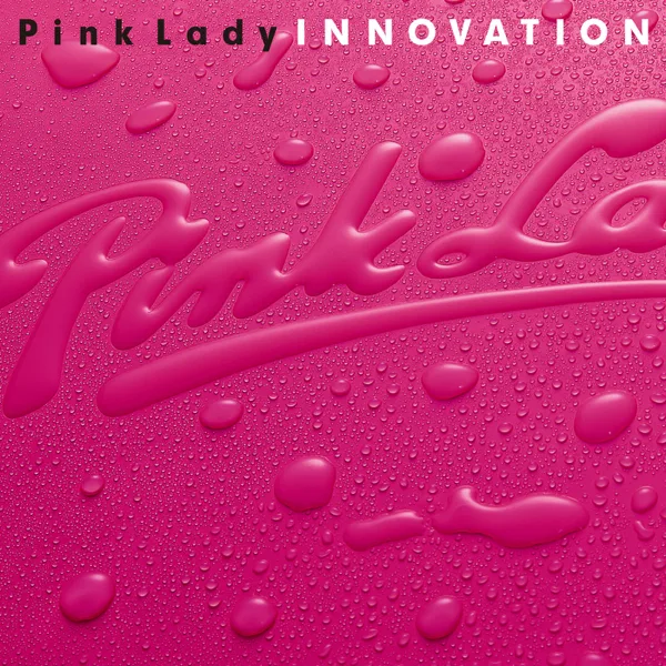 Kiss in the Dark — PINK LADY