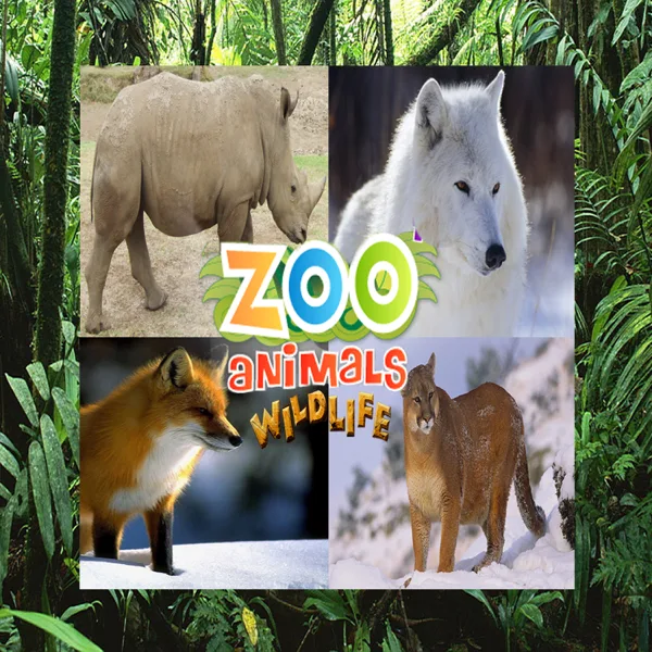 Tiger Roar — Animal Sound Effects Group