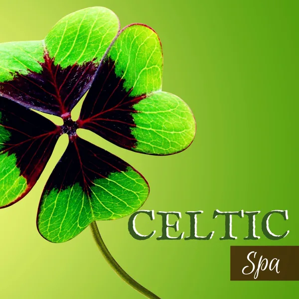 Water & Harp — Celtic Music Band & Spa Music Relaxation Meditation